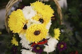 Собака из цветов.