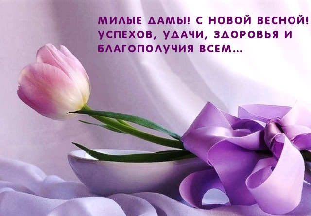Розовый тюльпан на женский праздник