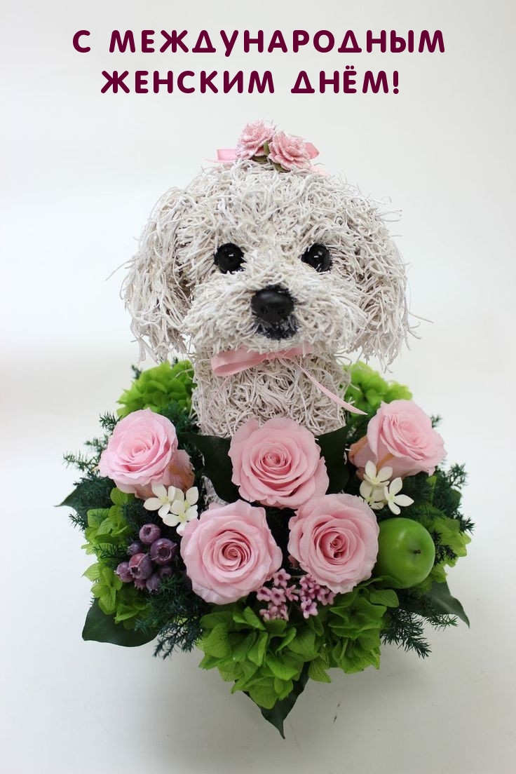 Прикольная собачка с розовыми розами