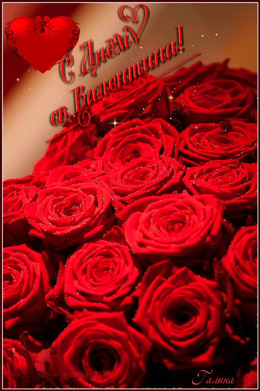 Мерцающие красные розы на 14 февраля