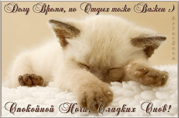 Открытка с котенком и пожеланием Спокойной ночи! Сладких снов!