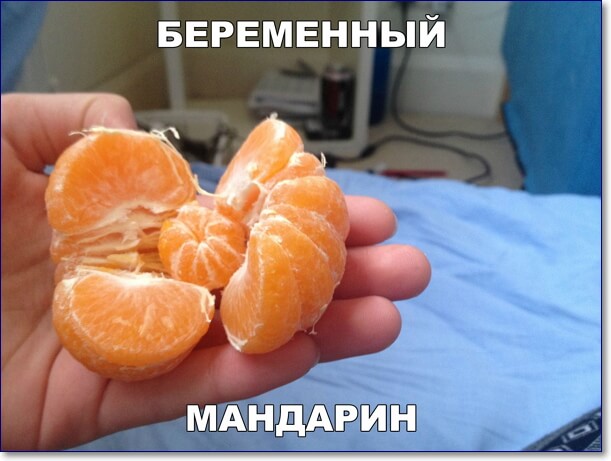 Беременный мандарин