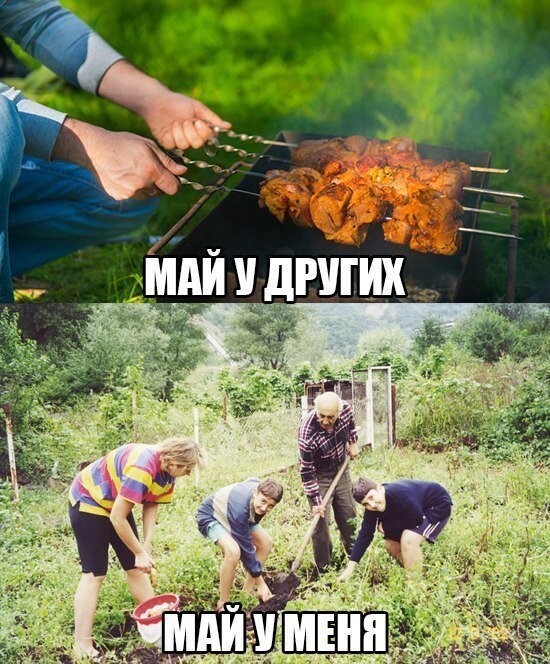 Май у меня и у других