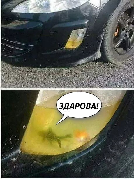 Здарова!