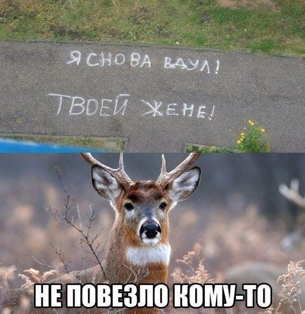 Не повезло кому-то