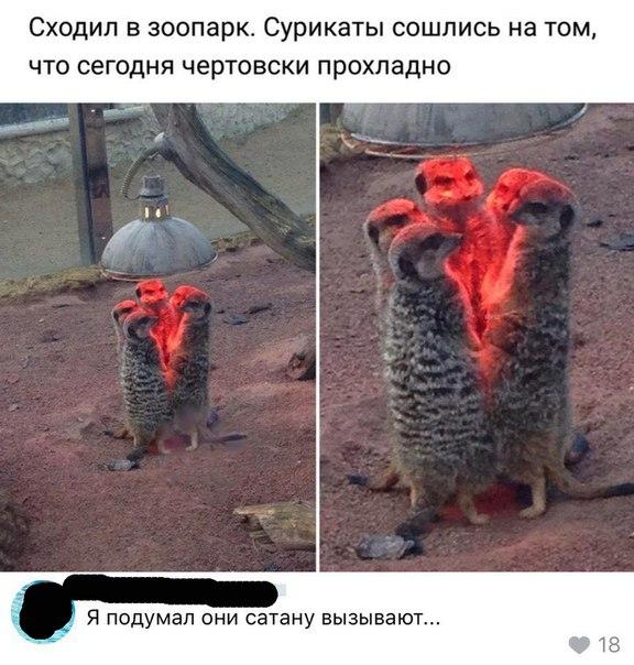 Открытка со смешной надписью