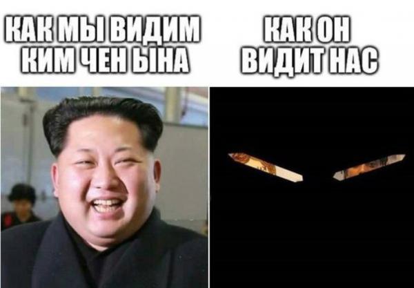 Как мы видим ким чен ына