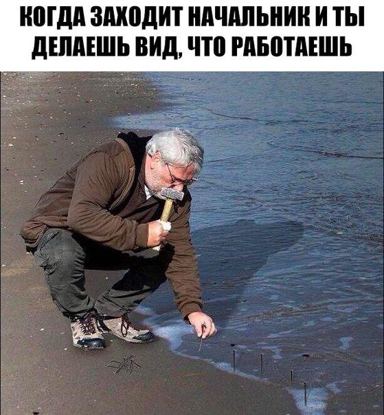 Когда заходит начальник