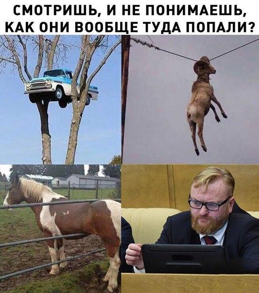 Смотришь и не понимаешь