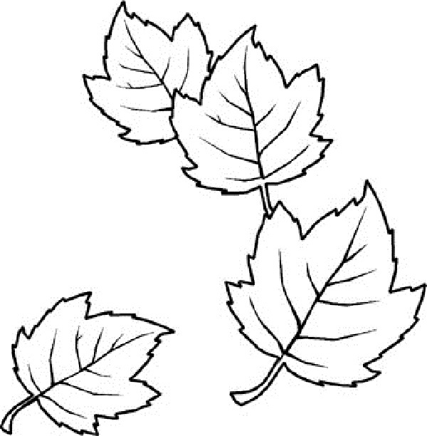 Рисуем листья.