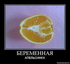 Беременная апельсинка!