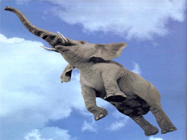 Летающий слон.