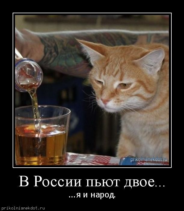 В России пьют двое - я и народ.