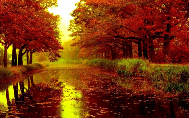 Закат, осень, река.