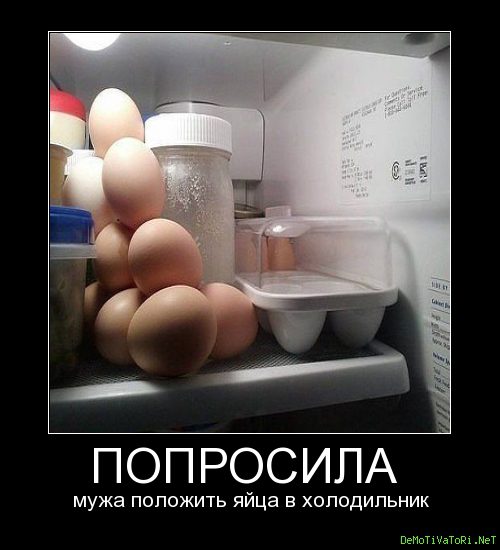 Попросила мужа положить яйца в холодильник.