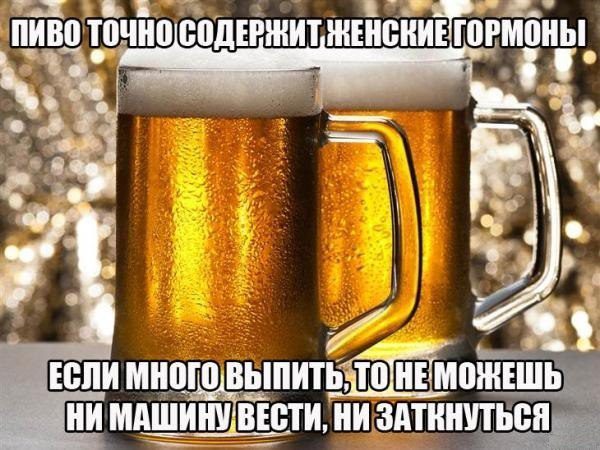 Пиво точно содержит женские гормоны. Если много выпить, то не можешь ни машину вести, ни заткнуться.