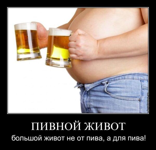 Пивной живот - большой живот не от пива, а для пива!