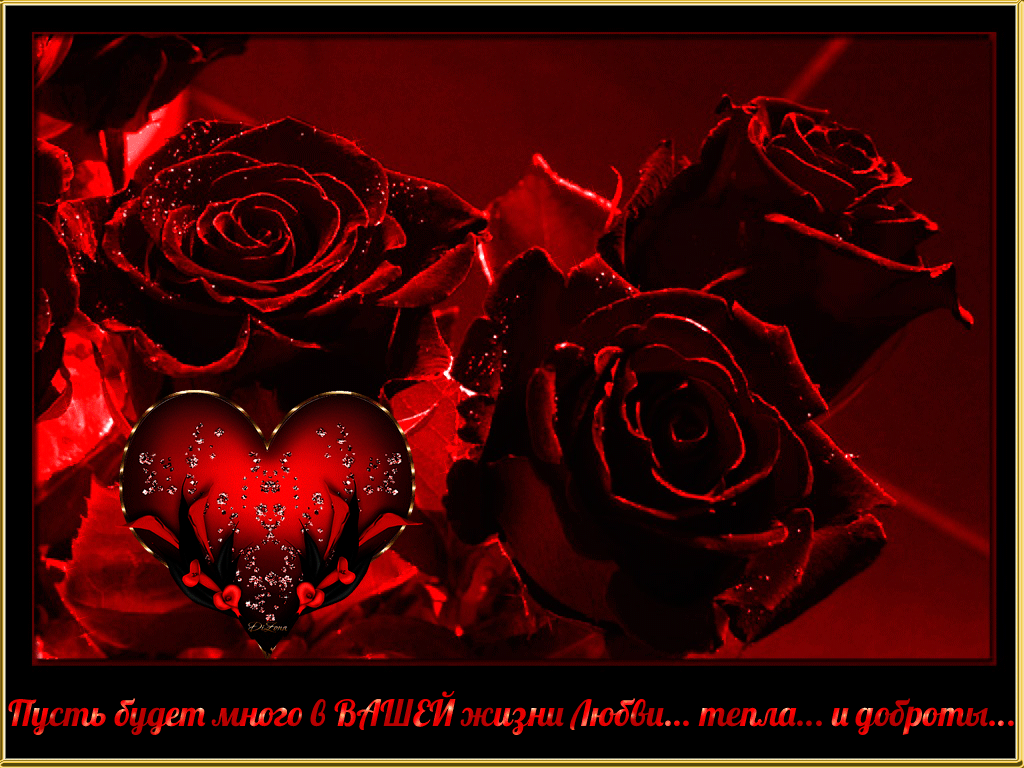 Розы гиф. Красивые гифы. Анимированные розы и сердца. Красные розы открытка.
