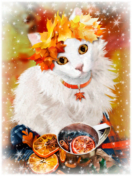 7. Красивая gif картинка с белой кошкой в осенних листьях