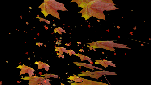 Листья кружатся день и ночь