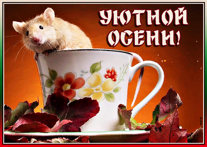 7. Анимированная открытка Уютной Осени 2020!