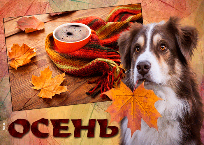 2. Gif открытка Осень с собакой!