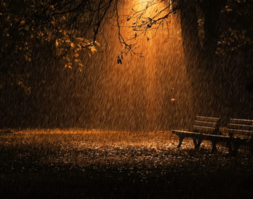 9. Красивая gif картинка осенний дождь в парке