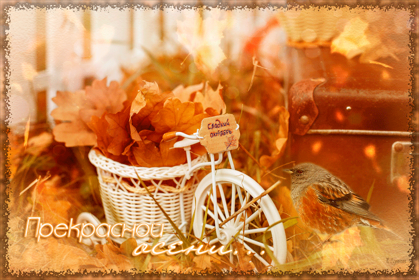 Красивого доброго осеннего дня. Доброго теплого осеннего дня. Осеннего утра и хорошего настроения. Красивые осенние открытки. Чудесной осени.