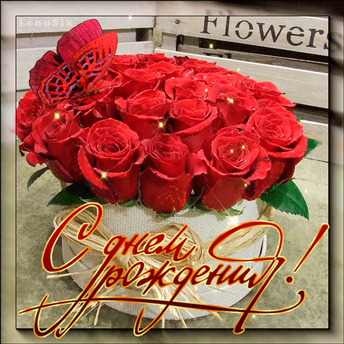 23. Крутая gif открытка с днём рождения женщине с бабочкой на букете красных роз