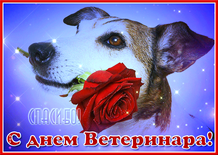 4. Анимация с днём ветеринарного работника России с собачкой