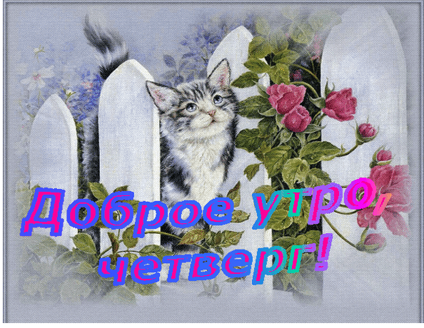 6. Гиф доброе утро четверг!