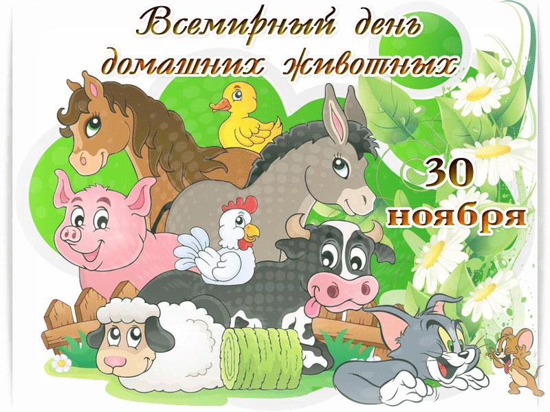 30 ноября день чего. Лень домашних животных. День домашних животных. Всемирный день домашних животных. 30 Ноября день домашних животных.
