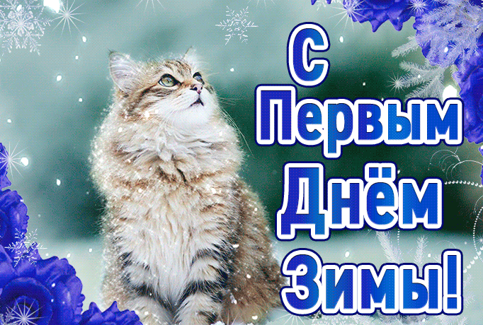 7. Классная гифка с первым днём зимы с кошкой