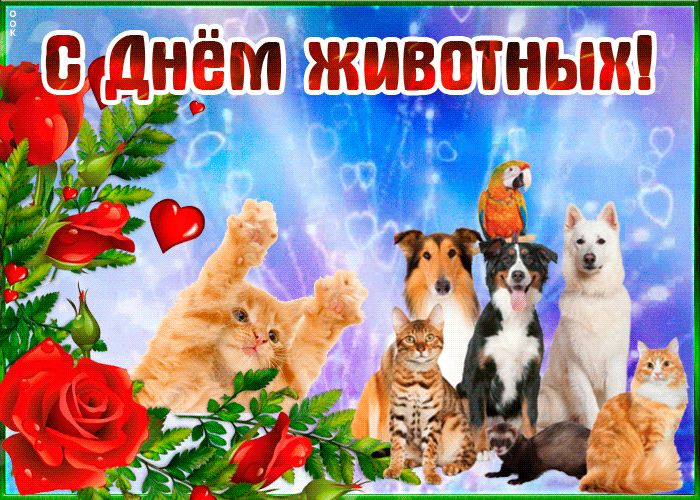 Мир животных праздник. День домашних животных. Поздравление с днем домашних животных. День домашних животных открытки. Всемирный день животных открытки.