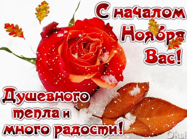 9. Анимированная мерцающая gif открытка с Началом Ноября вас! Душевного тепла и много радости!