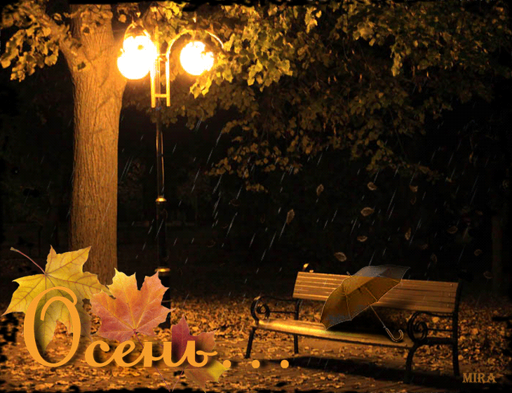 Осенним вечером случилось мне. Доброй ночи осенний сквер. Осенний парк вечером. Вечер листопад. Доброй ночи сквер осень.