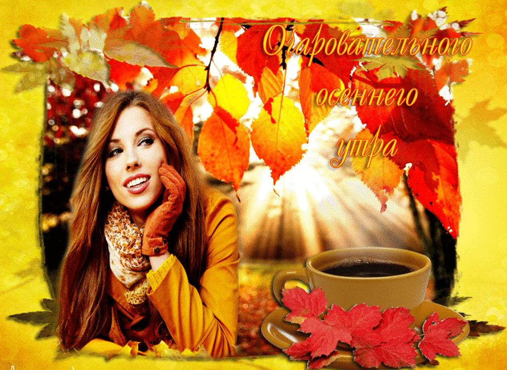 6. Гифка очаровательного осеннего утра!