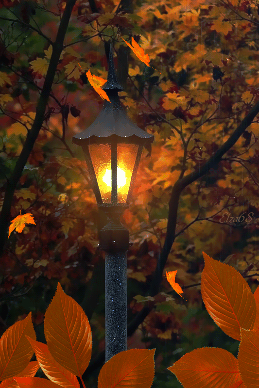 Фонарь листопад. Осень. Осенняя ночь. Фонарь в листве. Красивые фонари.