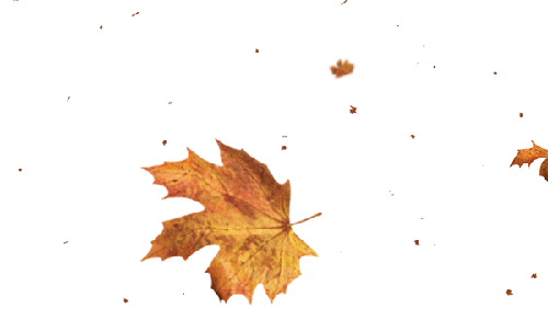 Анимация листья на прозрачном фоне. Анимированные падающие листья. Осенние листья анимация. Листья гиф. Осенние листья анимация на прозрачном фоне.