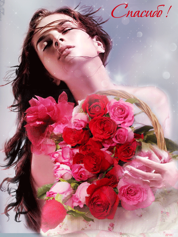 Девушка с розой. Девушка с цветами. Девушка в цветах гиф. Цветы для женщины.
