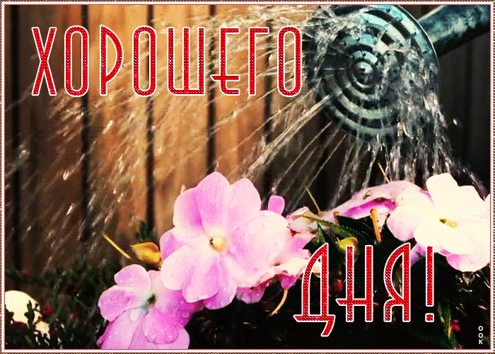 2. Анимированная гиф открытка хорошего дня!