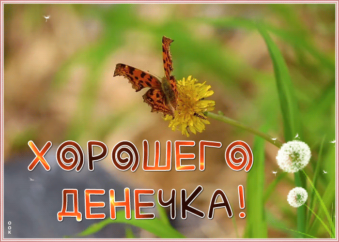 6. Весенняя анимация хорошего дня с бабочкой!