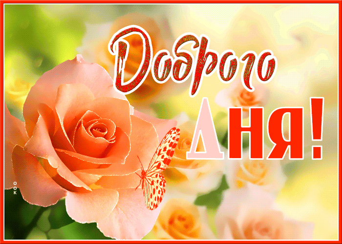 5. Гиф картинка доброго дня!