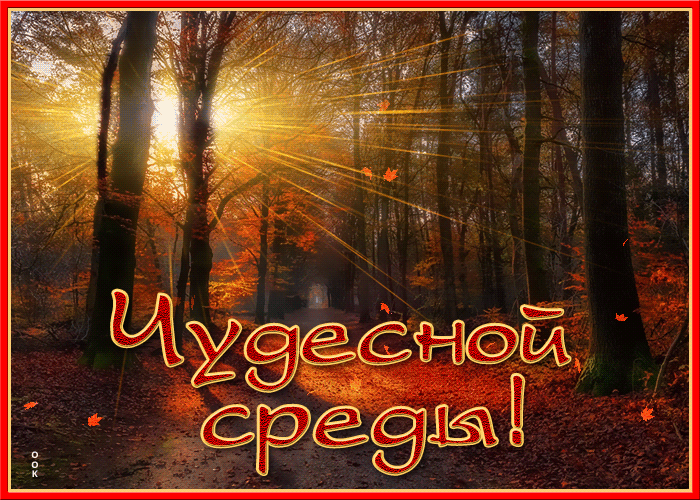 3. Гифка чудесной осенней среды!