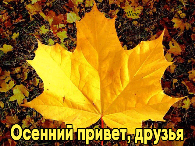 1. Гиф картинка осенний привет