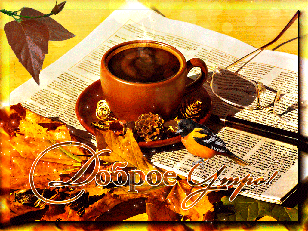 С ноябрьским утром картинки красивые. Осенний кофе для тебя. Доброе осеннее утро мужчине. С добрым осенним утроммужщине. Доброе осеннее утро анимация.