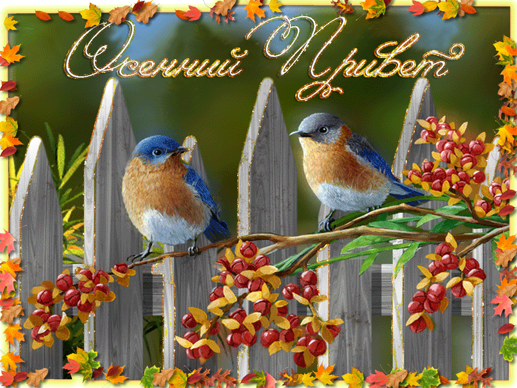 Добрый ноябрьский картинки позитивны. Чудесного дня с птичками. Доброе осеннее утро с птицами. Доброе утро с птицами осенью. Доброго дня с птичками осень.