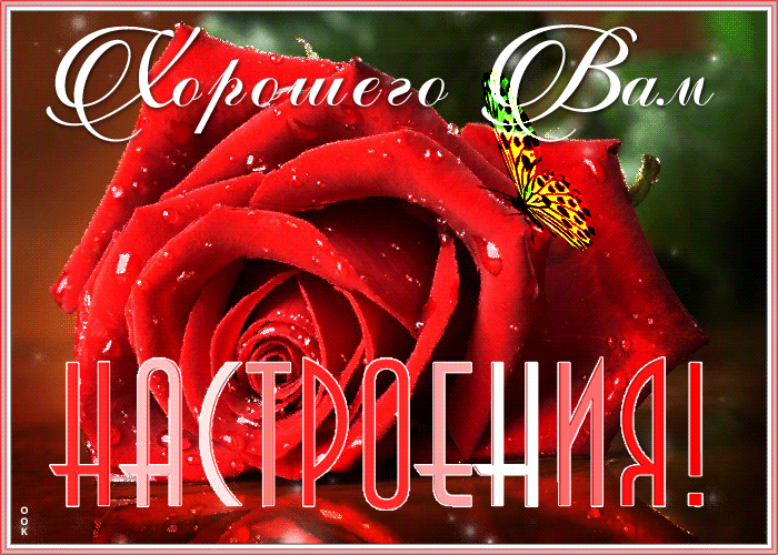 1. Красивая гиф картинка хорошего настроения Вам!