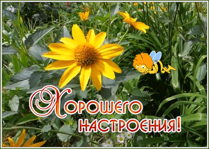 5. Гиф картинка хорошего настроения с цветами!