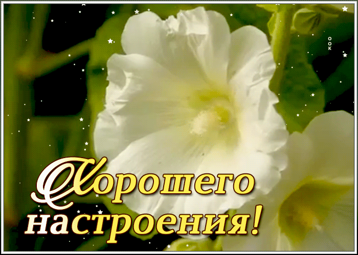 6. Gif хорошего настроения!